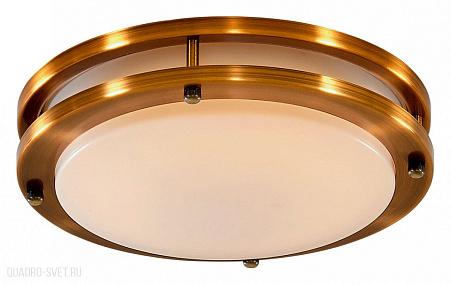 Потолочный светильник CITILUX Бостон CL709203N