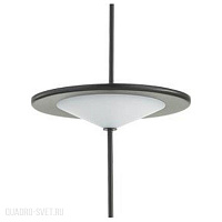 Подвесной светодиодный светильник Odeon Light Steka 5012/10L