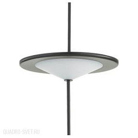 Подвесной светодиодный светильник Odeon Light Steka 5012/10L