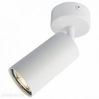 Накладной светильник Arte Lamp A3216PL-1WH