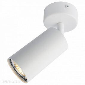 Накладной светильник Arte Lamp A3216PL-1WH