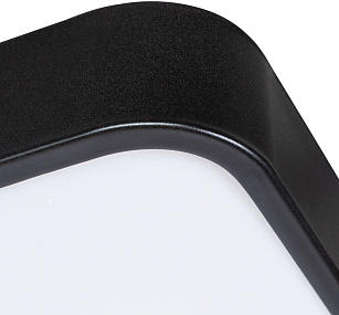Потолочный светодиодный светильник Arte Lamp SCENA A2669PL-1BK