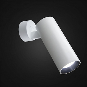 Светодиодный спот CITILUX Тубус CL01B120N