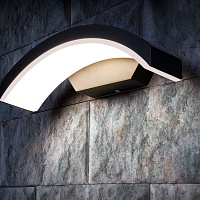Уличный настенный светодиодный светильник Elektrostandard  Asteria D 1671 TECHNO LED черный