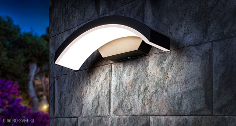Уличный настенный светодиодный светильник Elektrostandard  Asteria D 1671 TECHNO LED черный