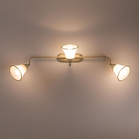 Спот поворотный CITILUX Прованс CL511534