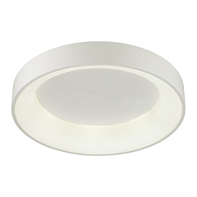 Потолочный светодиодный светильник Odeon Light SOLE 4066/40CL