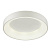 Потолочный светодиодный светильник Odeon Light SOLE 4066/40CL