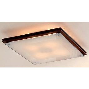 Настенно-потолочный светильник CITILUX CL938541