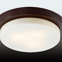 Светильник для ванных комнат ODEON LIGHT HOLGER 2744/3C