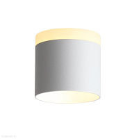Накладной светодиодный светильник ST LUCE PANAGGIO ST102.502.09