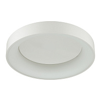 Потолочный светодиодный светильник Odeon Light SOLE 4066/40CL