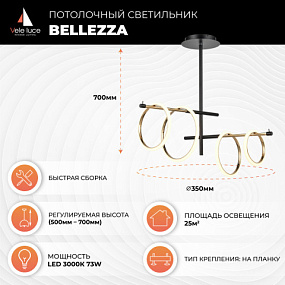 Потолочная светодиодная люстра Vele Luce Bellezza VL7262L04