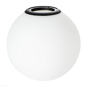 Плафон с черным металлическим кольцом для трека PRO Lightstar Teta 595120