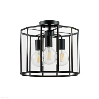 Потолочная люстра Lightstar Genni 798237