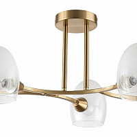 Потолочная люстра LUMION KENDALL 6514/5C