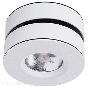 Светодиодный накладной светильник Arte Lamp A2508PL-1WH