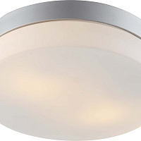Настенно-потолочный уличный светильник Arte Lamp SHIRP A3211PL-2SI