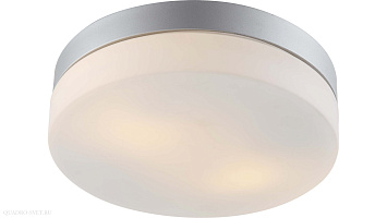 Настенно-потолочный уличный светильник Arte Lamp SHIRP A3211PL-2SI