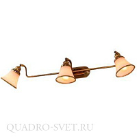 Спот CITILUX Прованс CL511533