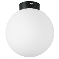Потолочный светильник Lightstar Globo 812027