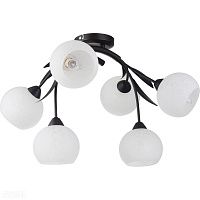Люстра потолочная LUSSOLE LSF-6283-06