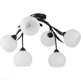 Люстра потолочная LUSSOLE LSF-6283-06