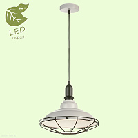 Подвесной светильник Lussole Loft BINGHAMTON GRLSP-9848
