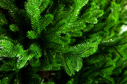 Ель CRYSTAL TREES ПРОВАНС 215 см. KP25215