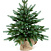 Ель CRYSTAL TREES ИЗУМРУДНАЯ ЭДИТ 60 см. KP5060