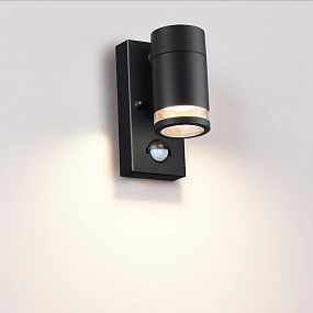 Настенный уличный светильник Odeon Light MOTTO 6605/1W