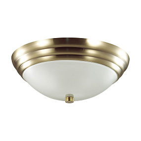 Настенно-потолочный светильник LUMION KAYLA 5262/2C