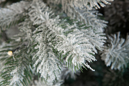 Ель CRYSTAL TREES МОЛЬВЕНО в снегу с вплетенной гирляндой 250 см. KP7250SL