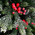 Ель CRYSTAL TREES Лаки заснеженная с ягодами 180 см. KP1118