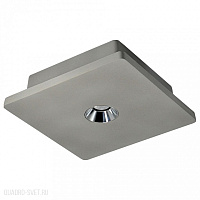 Накладной светодиодный светильник LOFT IT Architect OL1072-GH/1
