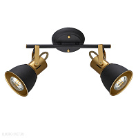 Спот Arte Lamp JOVI A1677PL-2GO