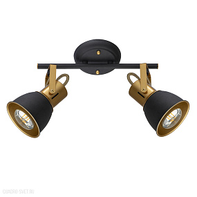 Спот Arte Lamp JOVI A1677PL-2GO