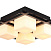 Потолочный светильник Arte Lamp WOODS A8252PL-4CK
