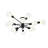 Потолочная люстра ST Luce ANO SL419.402.12