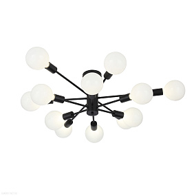 Потолочная люстра ST Luce ANO SL419.402.12