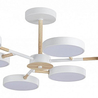 Потолочная светодиодная люстра LUMION BRAD 5652/99CL