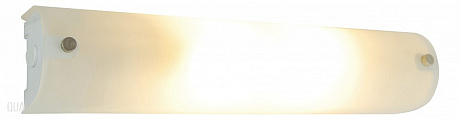 Настенно-потолочный светильник Arte Lamp Tratto A4101AP-2WH
