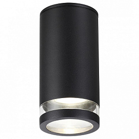 Уличный потолочный светильник Odeon Light MOTTO 6605/1C