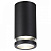 Уличный потолочный светильник Odeon Light MOTTO 6605/1C