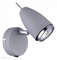 Спот Arte Lamp Regista A1966AP-1GY