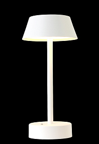 Светодиодная настольная лампа Crystal Lux SANTA LG1 WHITE
