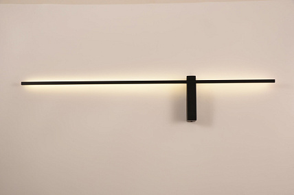 Светодиодная подсветка для картин Arte Lamp PHOENIX A2025AP-1BK