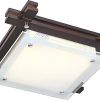 Потолочный светильник Arte Lamp ARCHIMEDE A6462PL-1CK