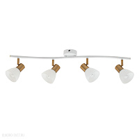 Спот Arte Lamp FALENA A3117PL-4WH
