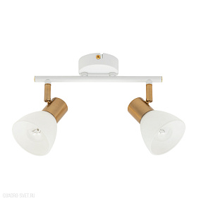 Спот Arte Lamp FALENA A3117PL-2WH